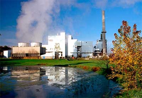 Biomass plants